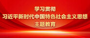 操比官网学习贯彻习近平新时代中国特色社会主义思想主题教育_fororder_ad-371X160(2)